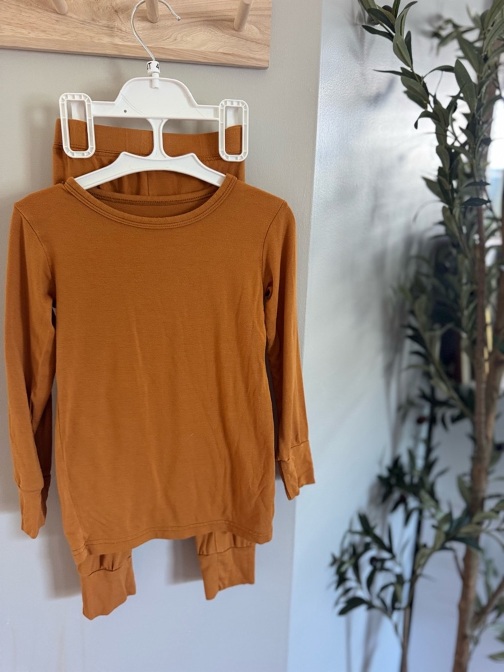 Bundle of Joy Bamboo Long Sleeve Pajama set in Rust -3t